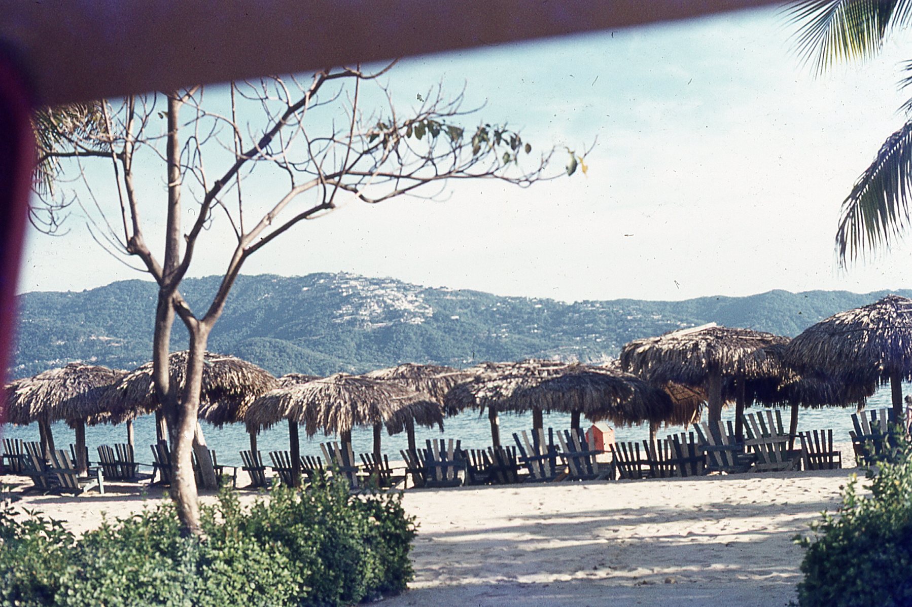 img217.jpg