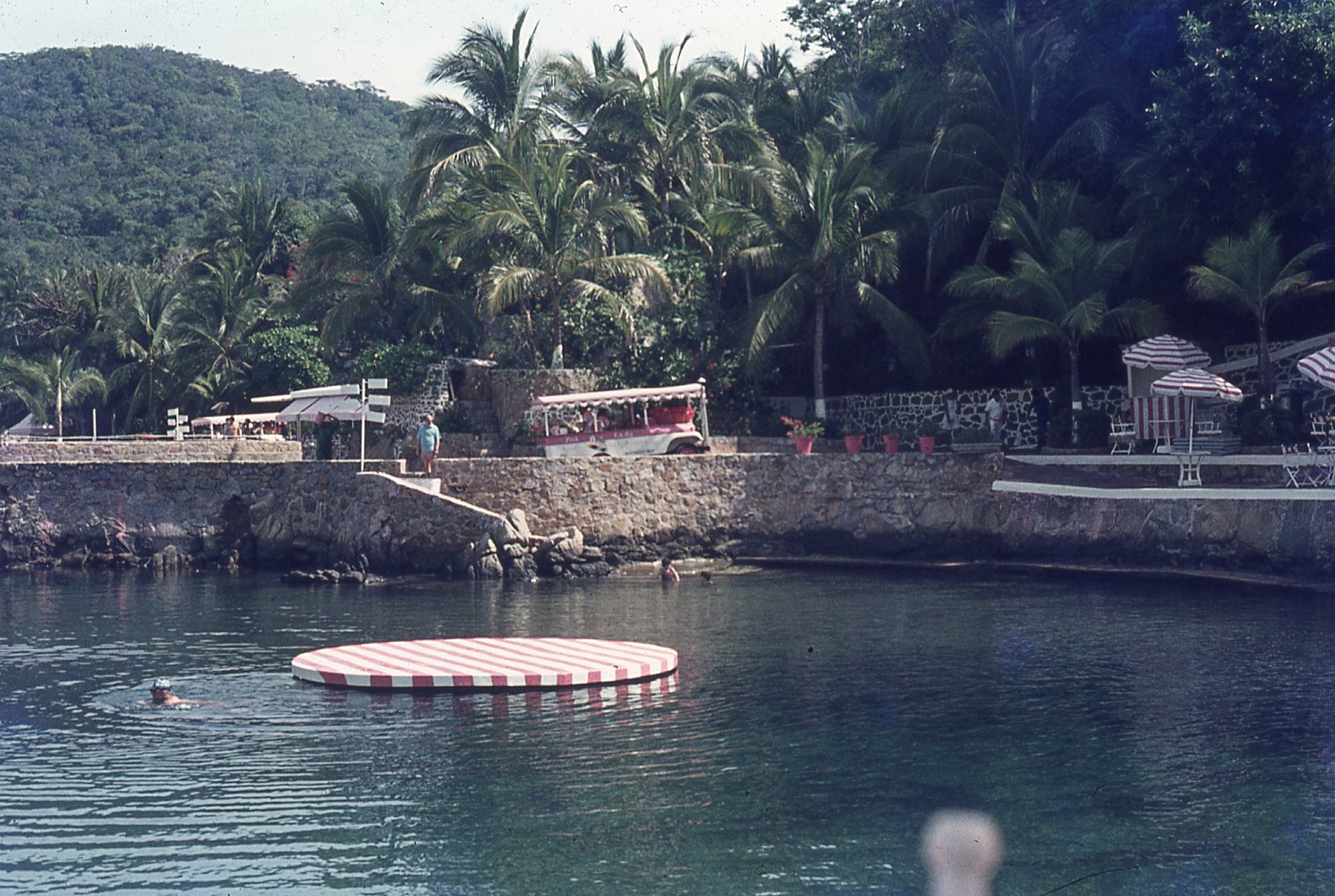 img220.jpg