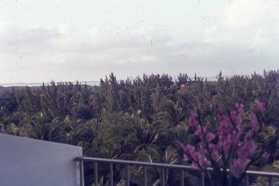 img148.jpg