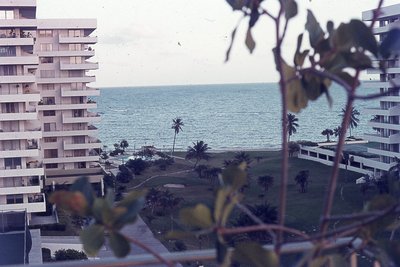 img149.jpg
