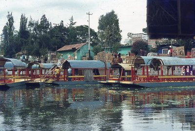 img181.jpg