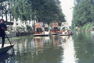 img185.jpg