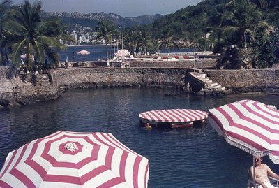 img205.jpg