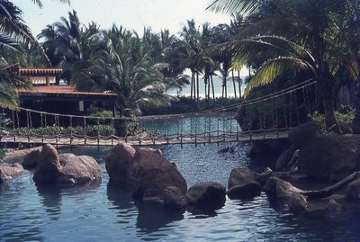 img211.jpg