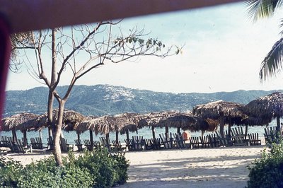 img217.jpg