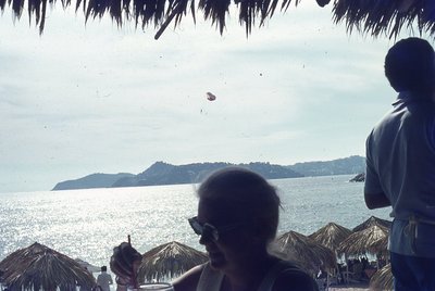 img223.jpg