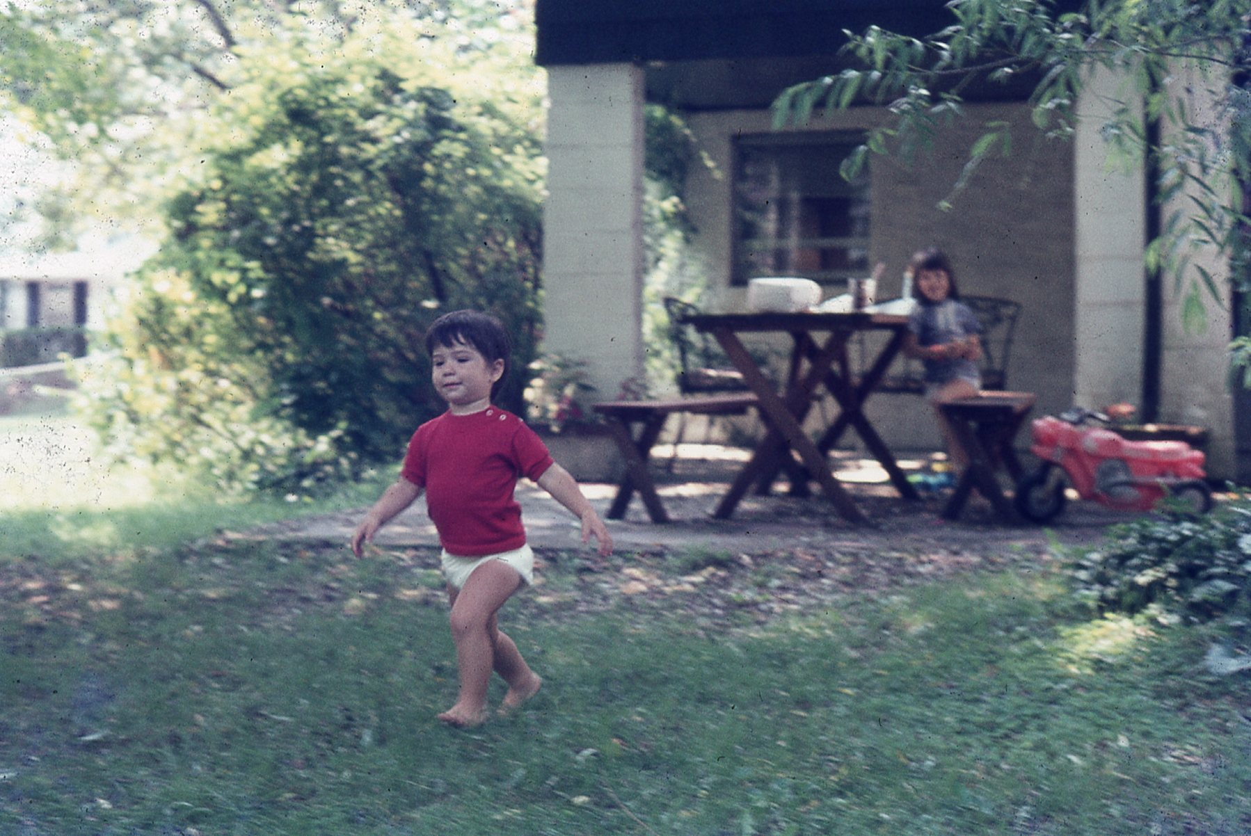 img227.jpg