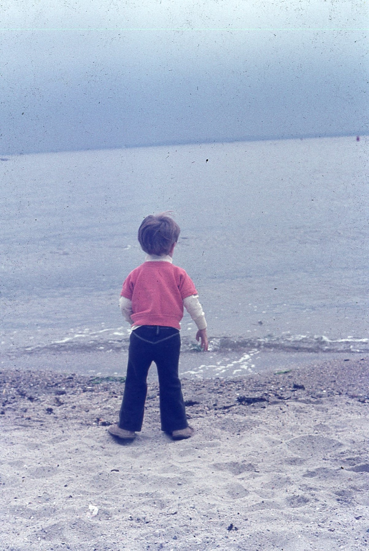 img259.jpg