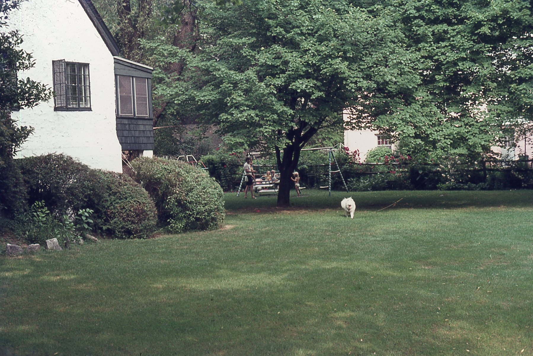 img290.jpg