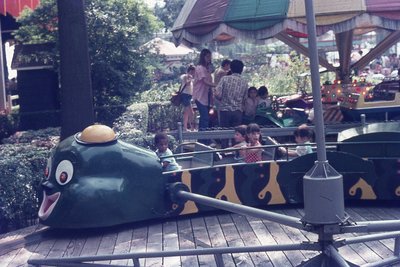 img247.jpg