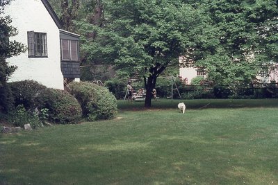 img290.jpg