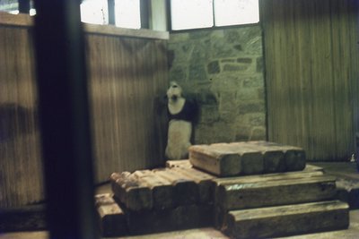 img300.jpg