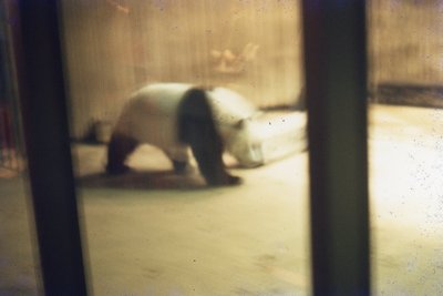 img306.jpg