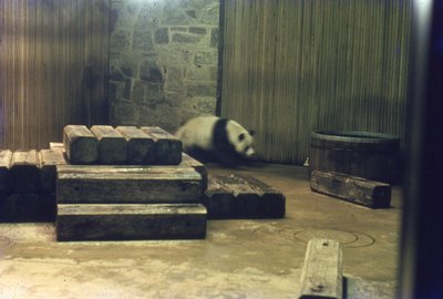 img307.jpg