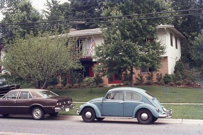 img319.jpg