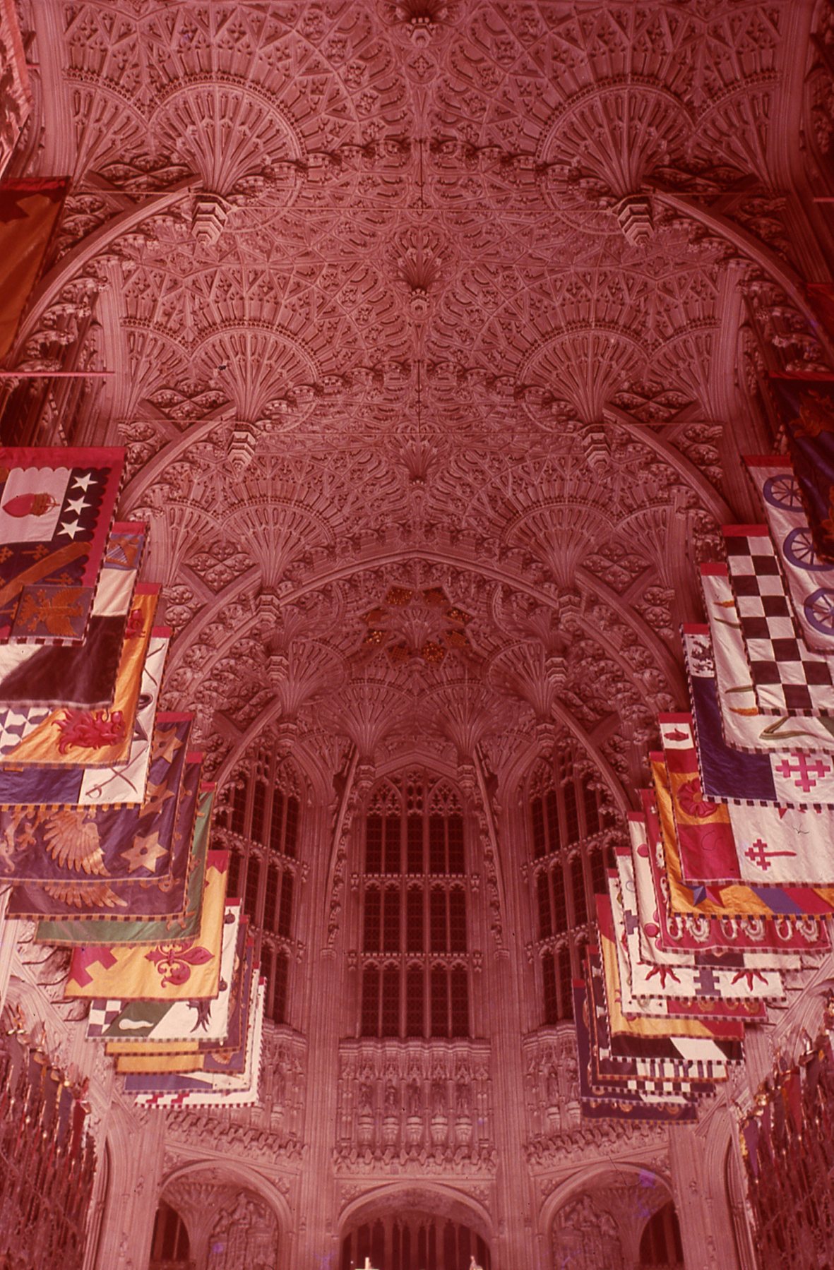 img134.jpg