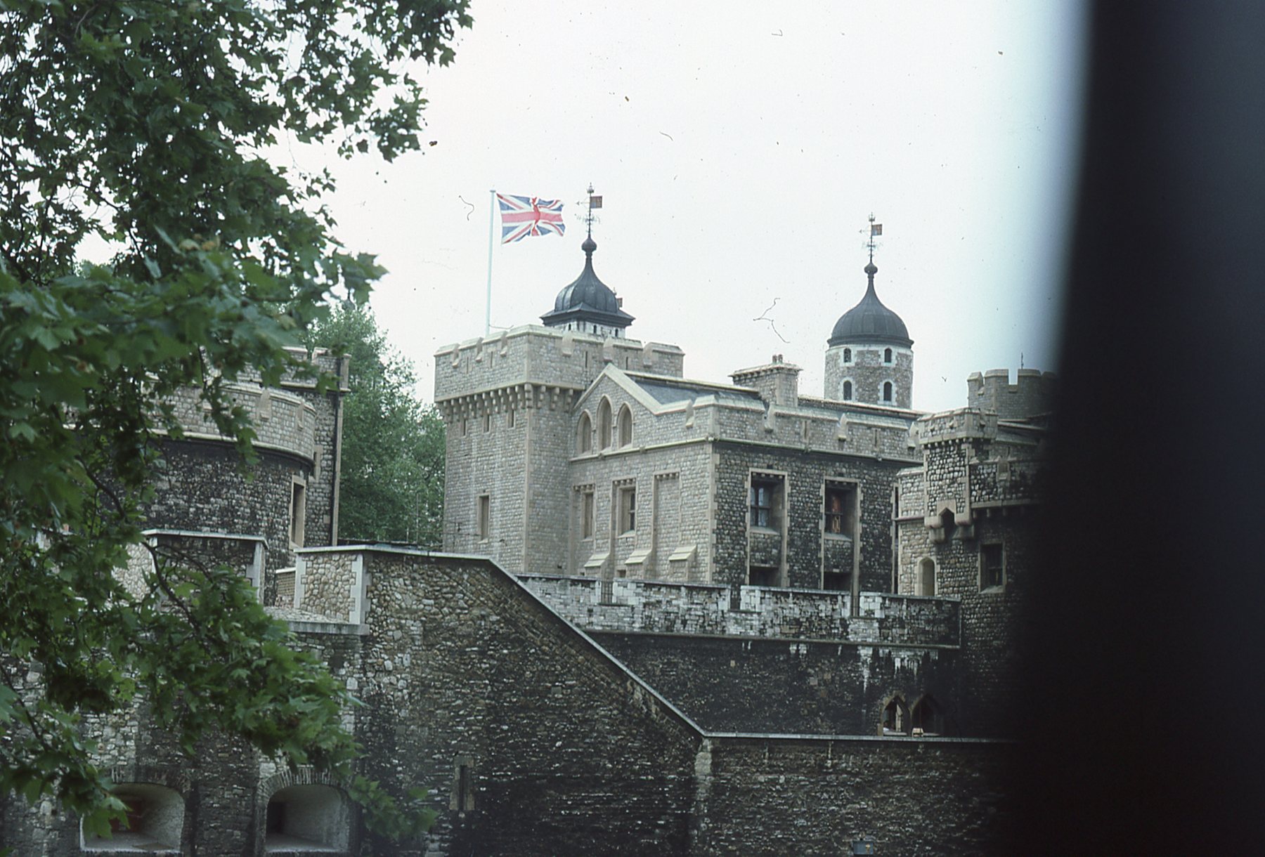 img138.jpg