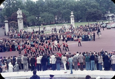 img109.jpg