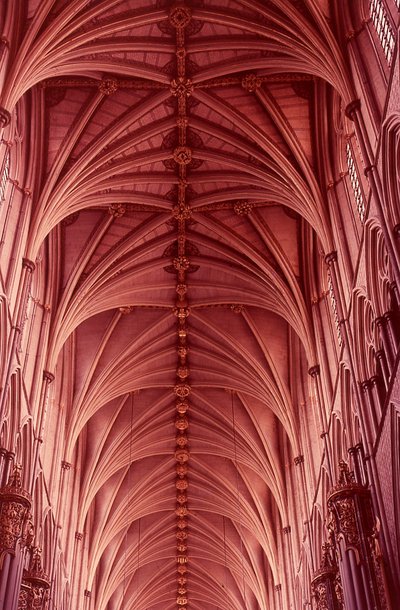 img133.jpg