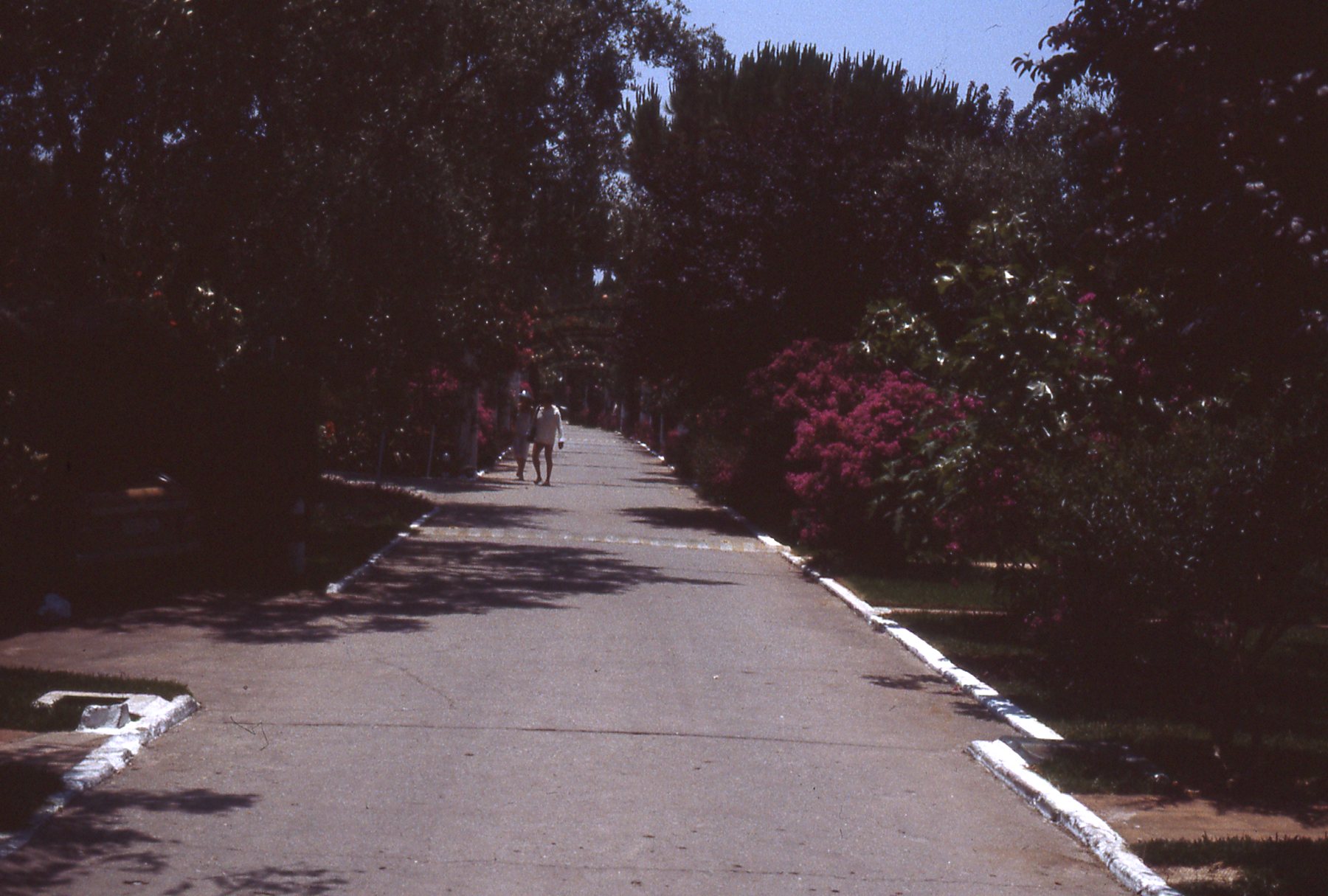 img356.jpg