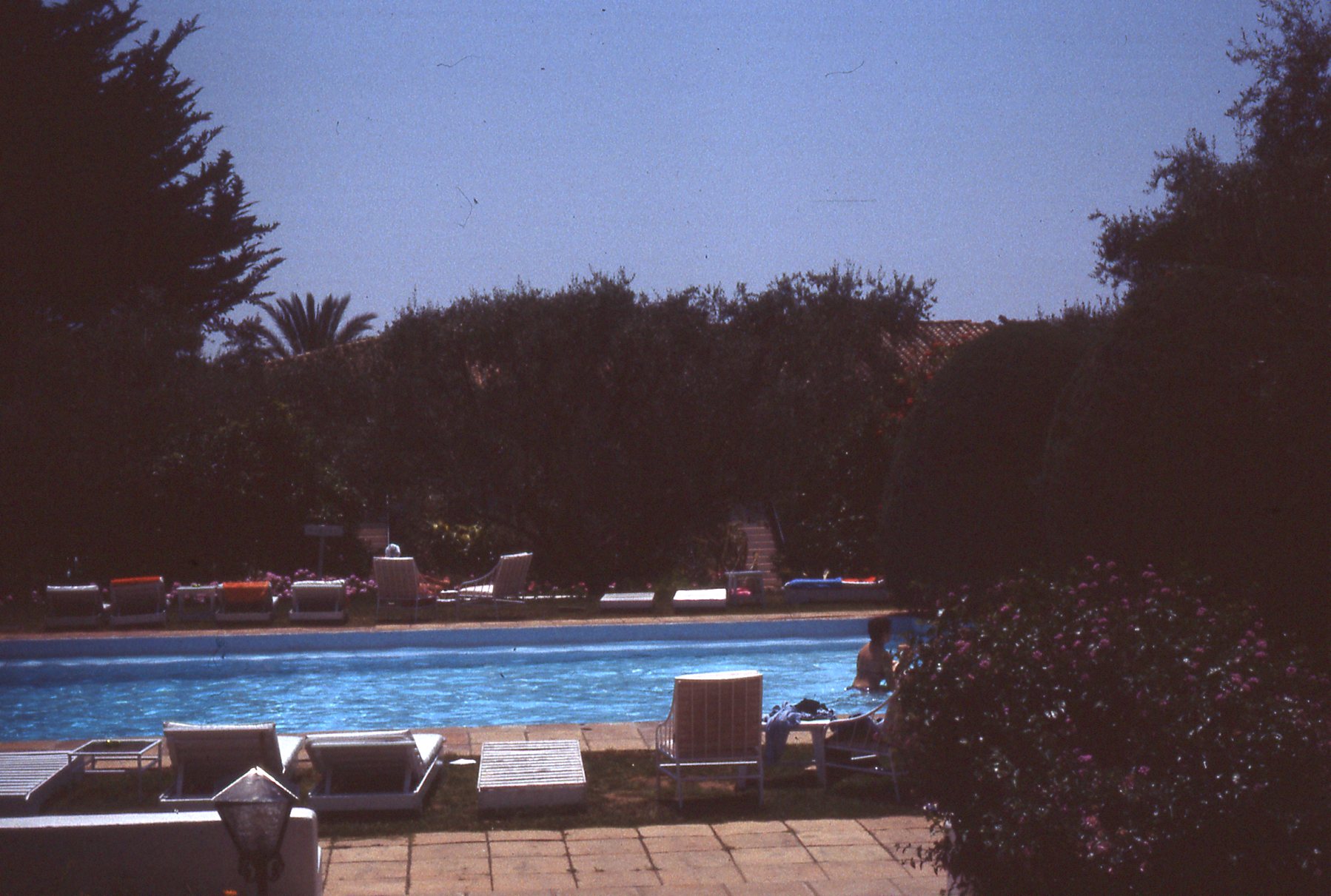 img357.jpg