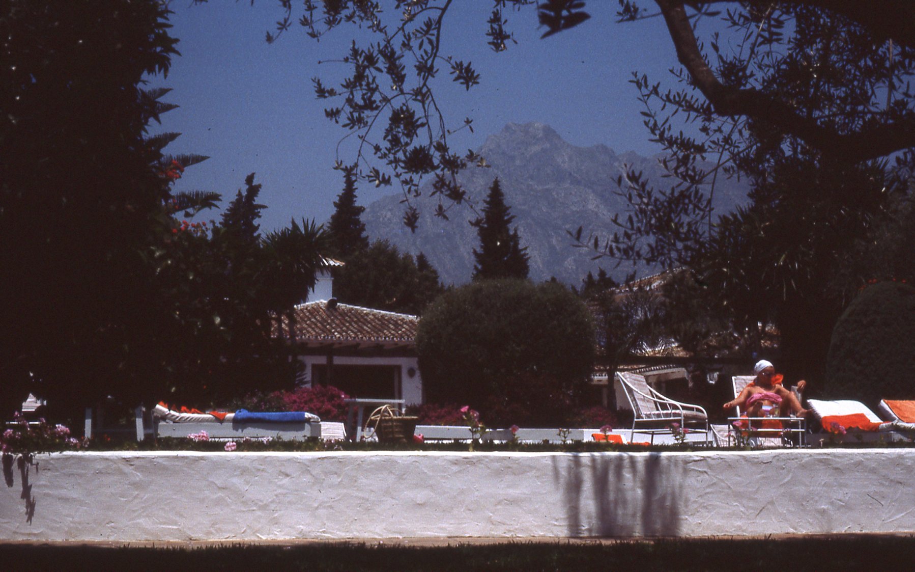 img359.jpg