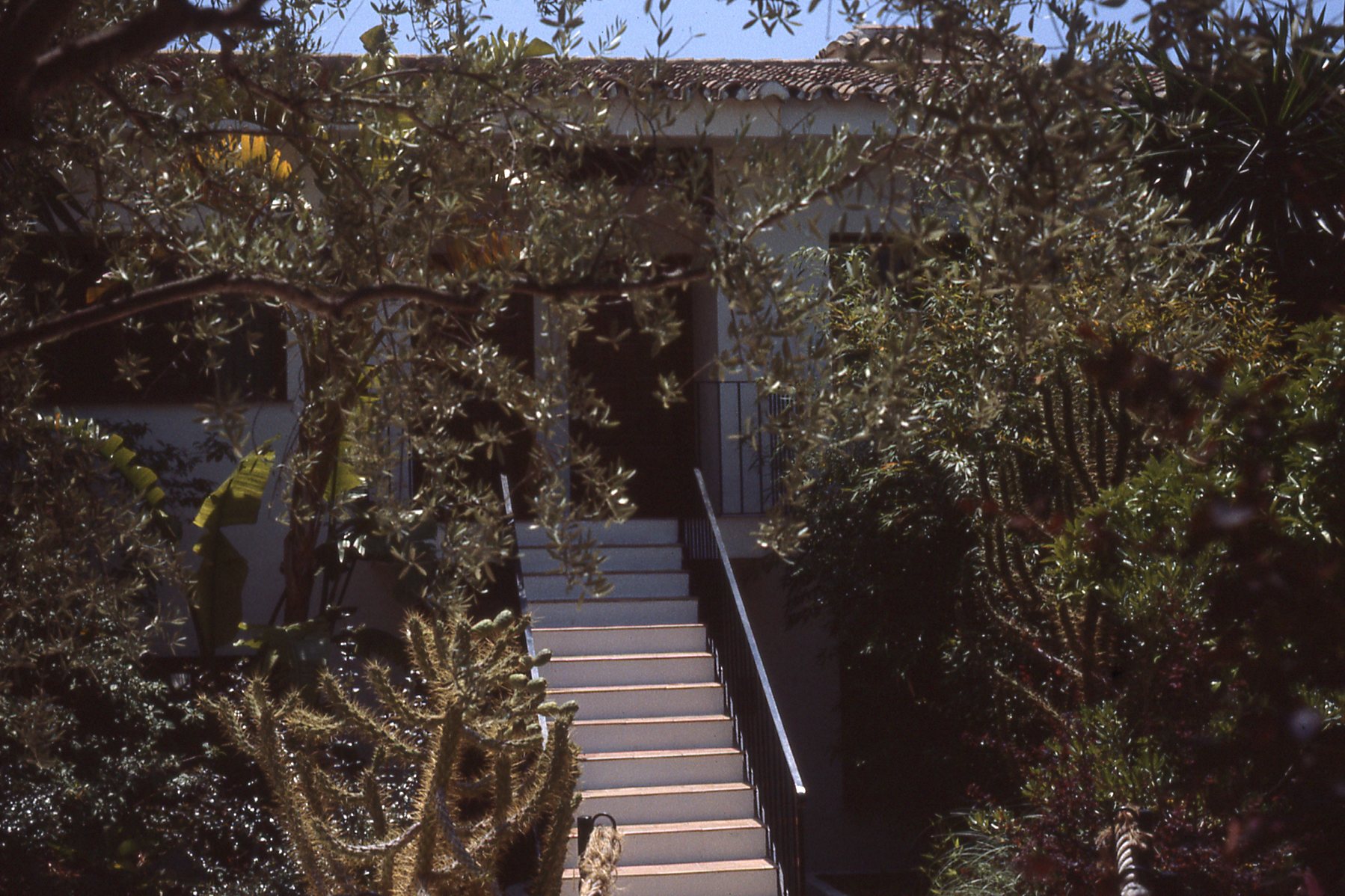 img360.jpg
