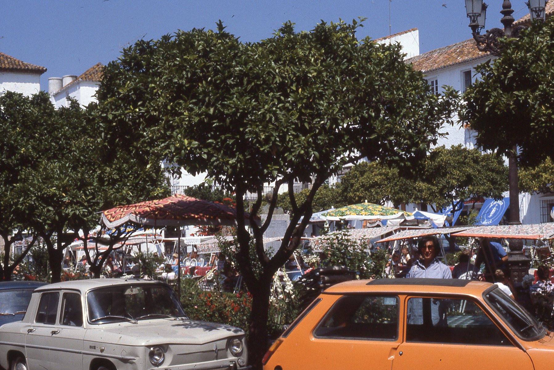 img362.jpg