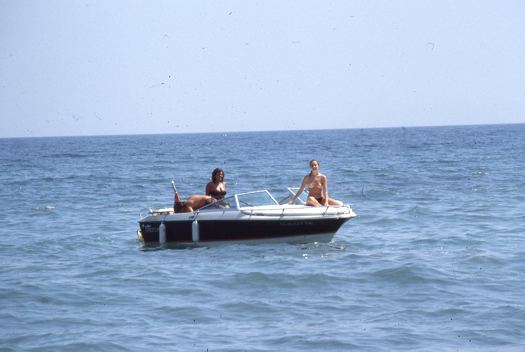 img378.jpg