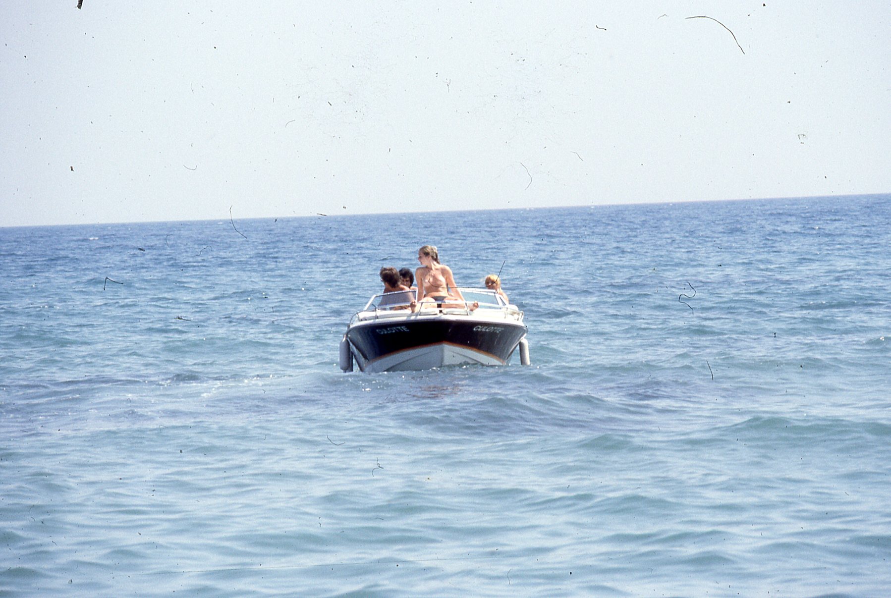 img380.jpg