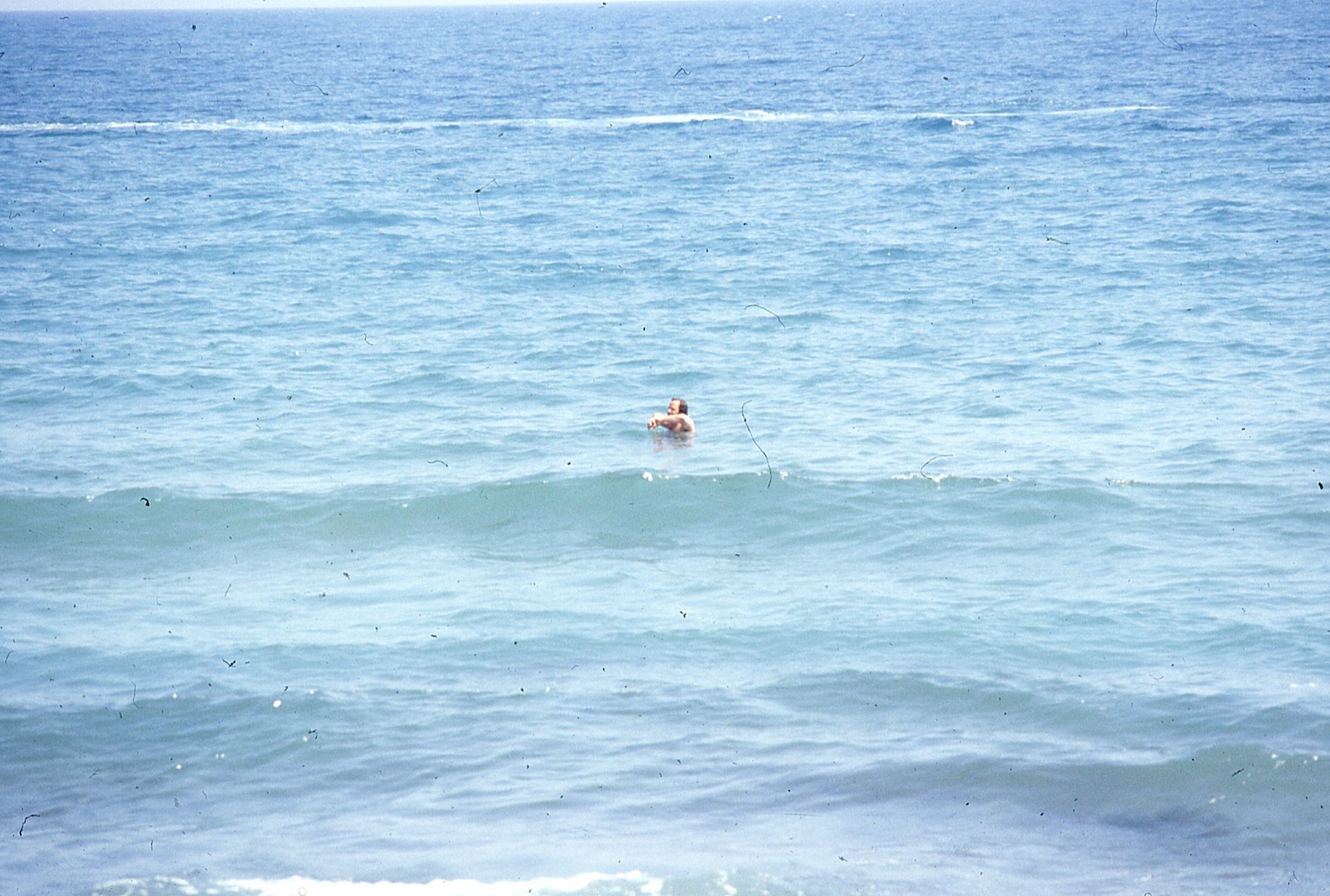 img381.jpg