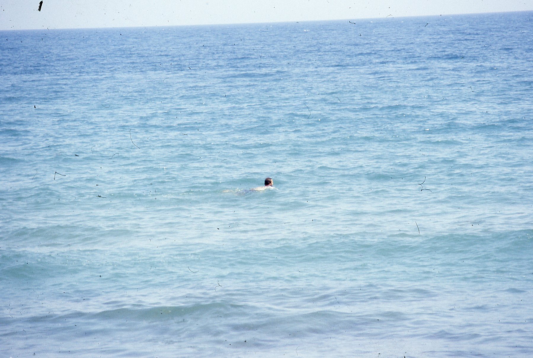 img384.jpg