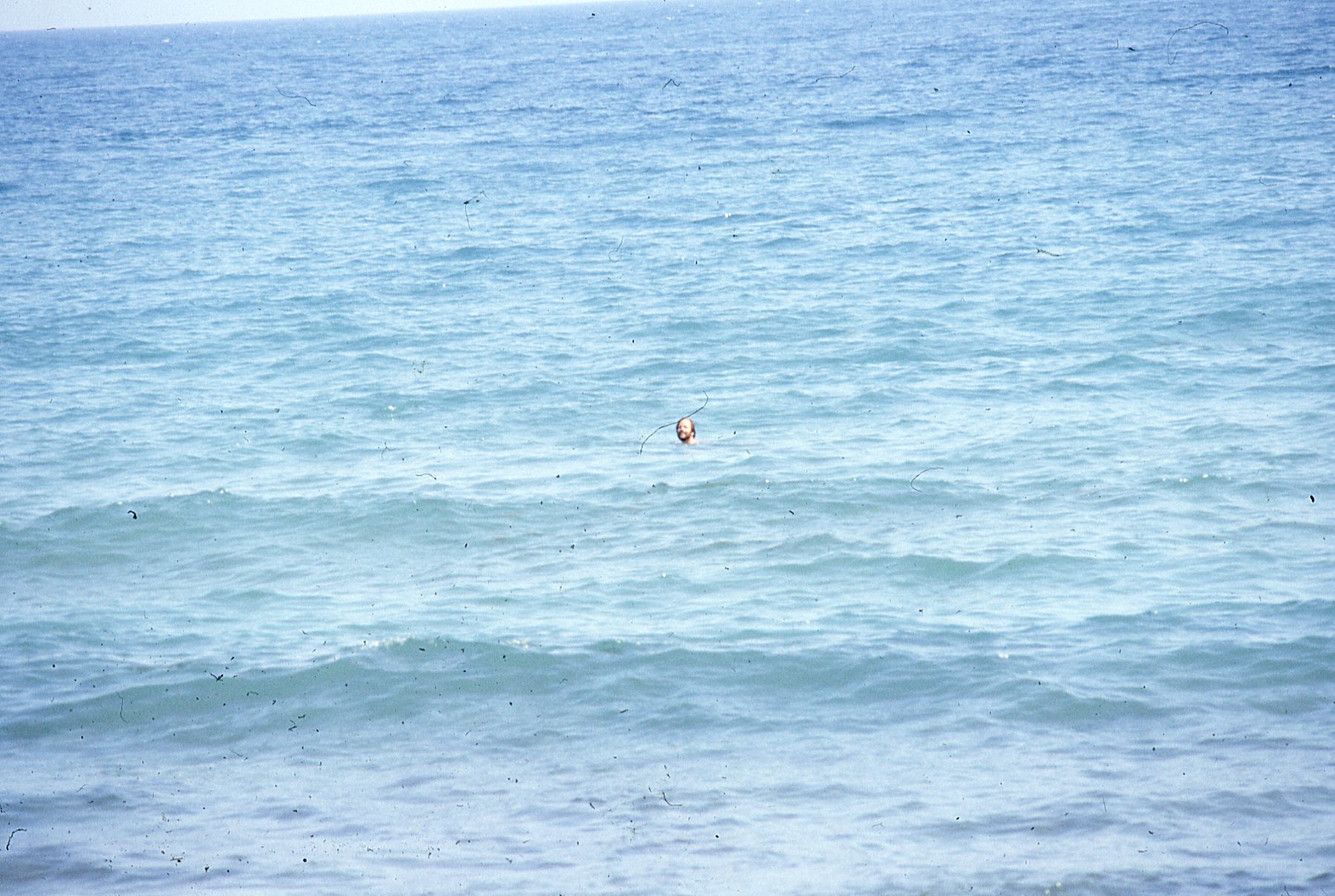img385.jpg