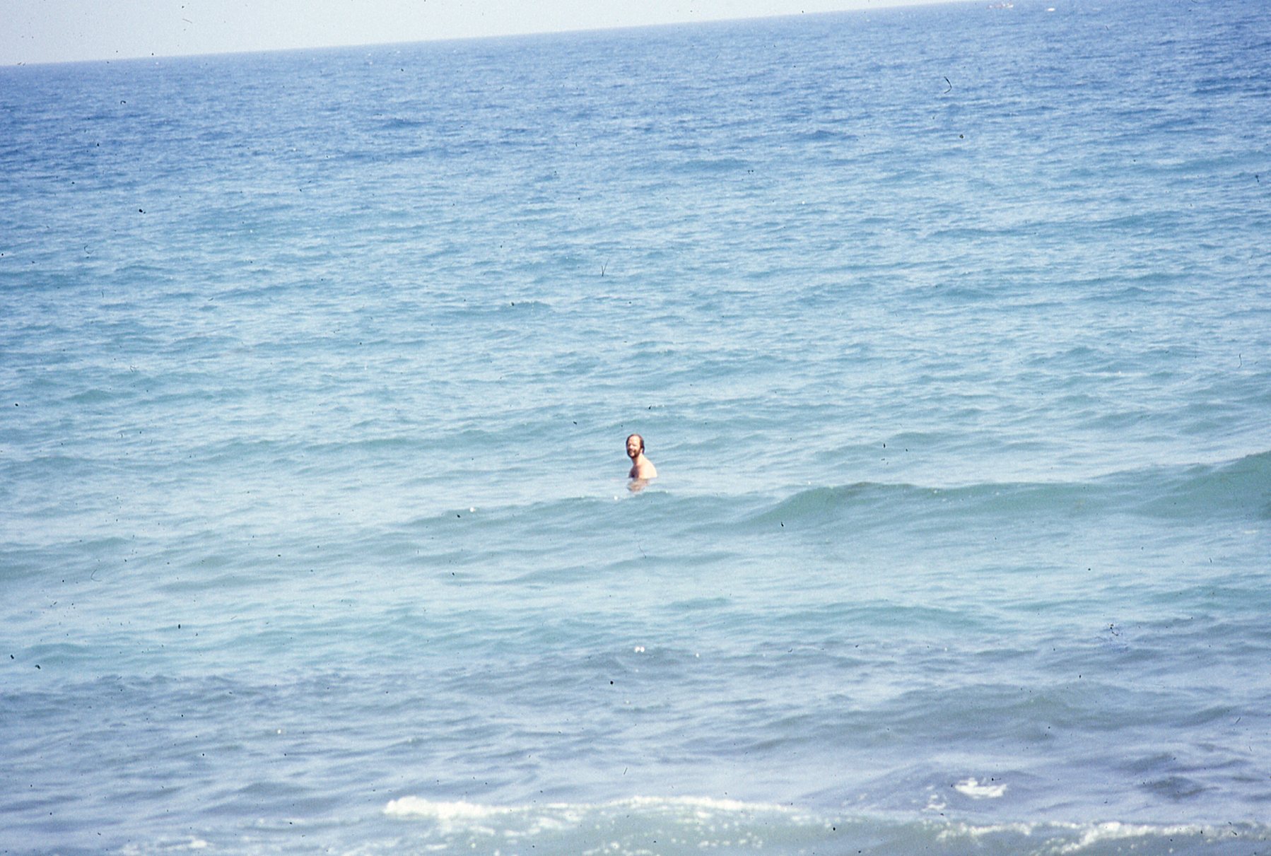 img387.jpg