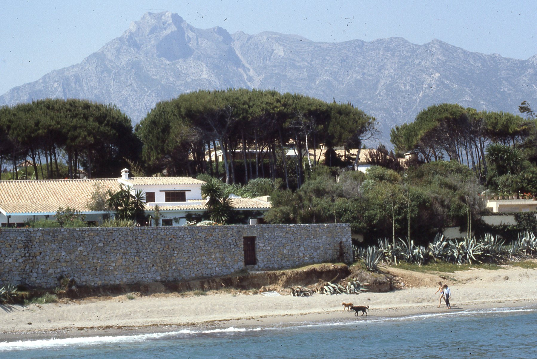 img390.jpg