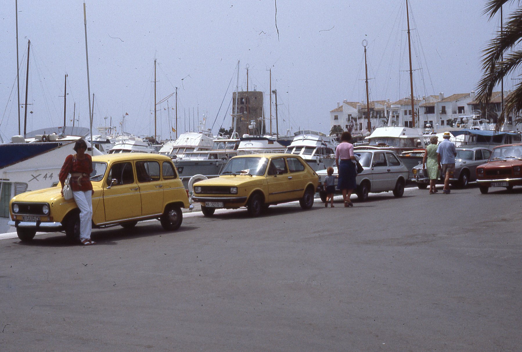 img393.jpg