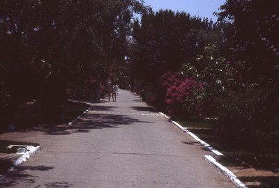img356.jpg