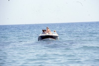 img380.jpg