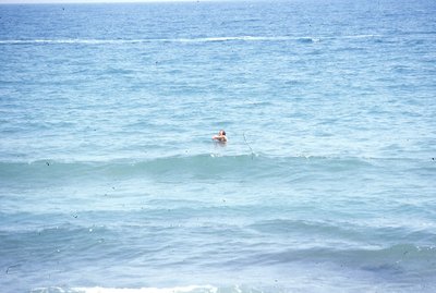 img381.jpg