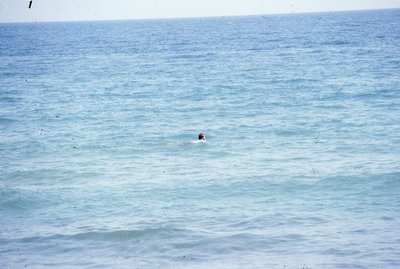 img384.jpg
