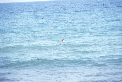 img385.jpg