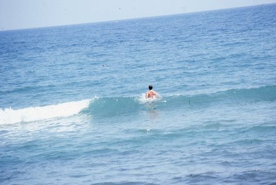 img386.jpg
