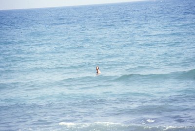 img387.jpg