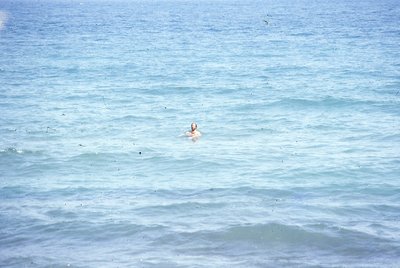 img388.jpg