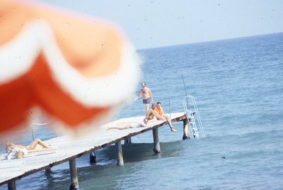 img389.jpg