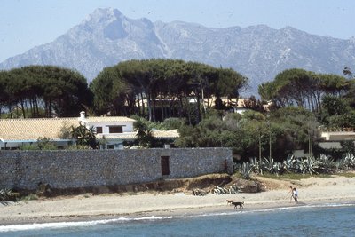 img390.jpg