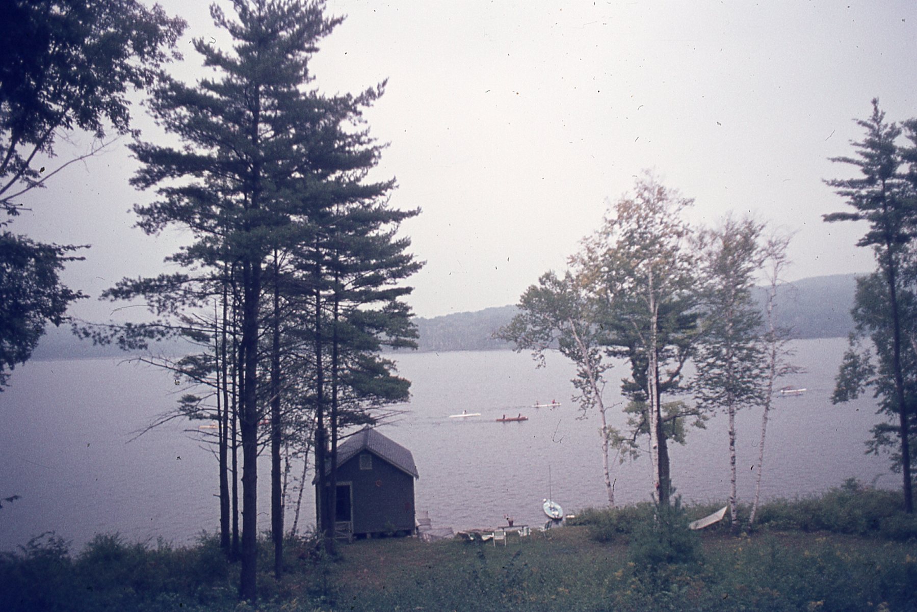 img136.jpg