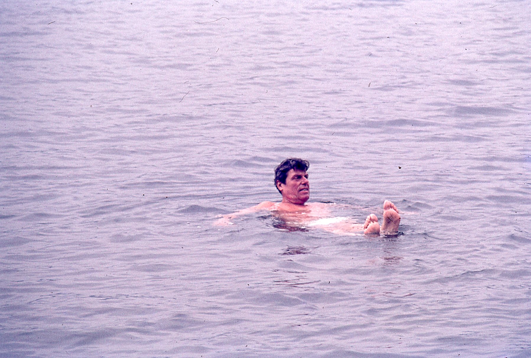 img137.jpg