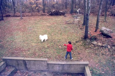 img100.jpg