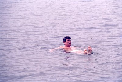 img137.jpg